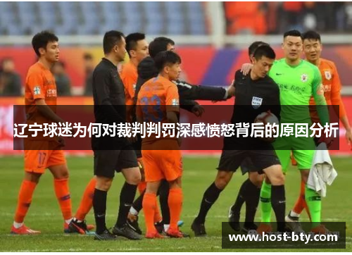 辽宁球迷为何对裁判判罚深感愤怒背后的原因分析