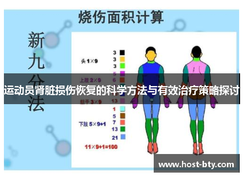 运动员肾脏损伤恢复的科学方法与有效治疗策略探讨