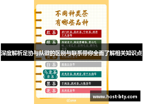 深度解析足协与队徽的区别与联系带你全面了解相关知识点