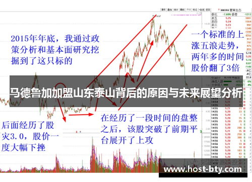 马德鲁加加盟山东泰山背后的原因与未来展望分析